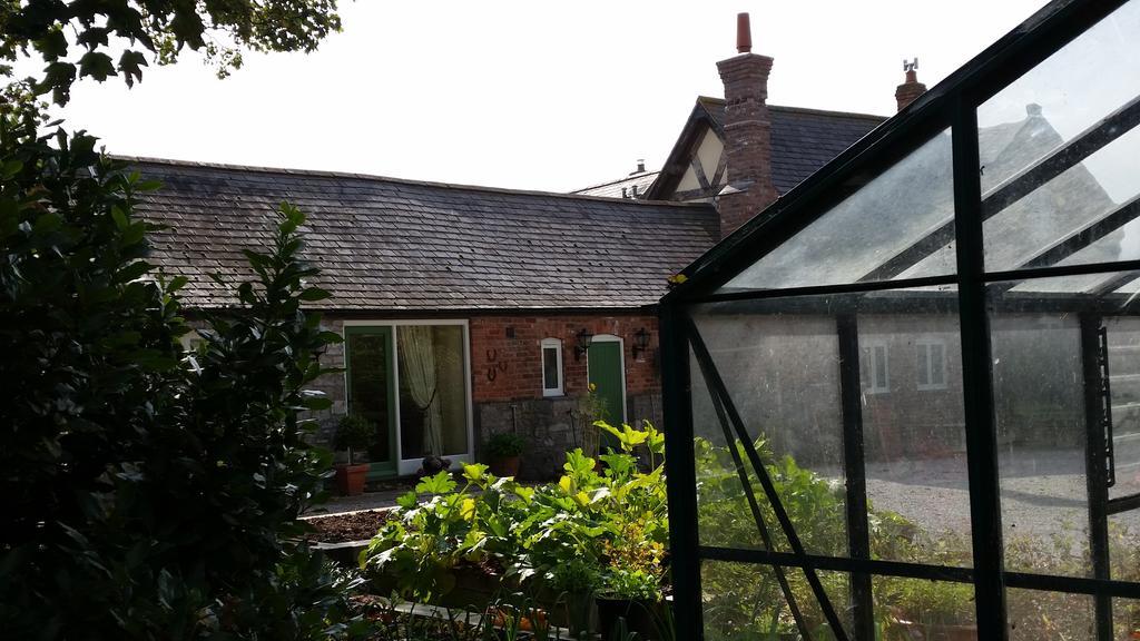 روثين Ty Derw Country House B&B المظهر الخارجي الصورة