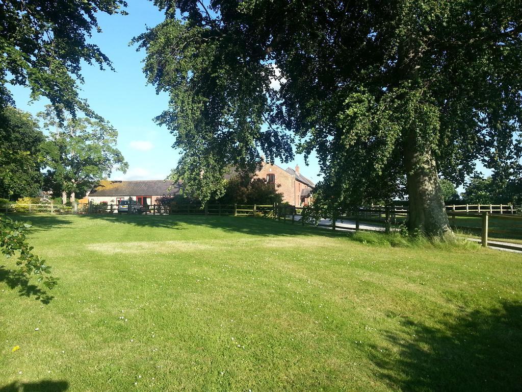 روثين Ty Derw Country House B&B المظهر الخارجي الصورة